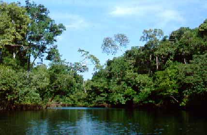 Nossa Missão é integrar a Amazônia pela Banda Larga